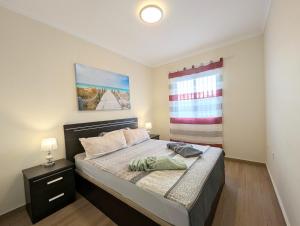 een slaapkamer met een bed en een raam bij R-66-A-B Pisos La Mata in La Mata +55 foto's