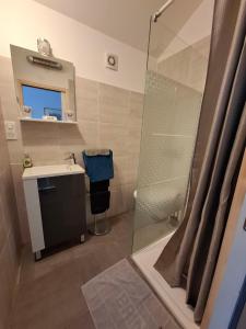 a bathroom with a shower and a sink at Jardin Fleuri - Proche Foix in Saint-Paul-de-Jarrat