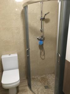 Una ducha con un inodoro blanco en un baño. en Purple Amber, en Juodkrantė 9 fotos más