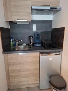 a small kitchen with a sink and a refrigerator at Jardin Fleuri - Proche Foix in Saint-Paul-de-Jarrat +5 photos