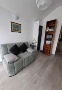 a living room with a couch and a book shelf at Jardin Fleuri - Proche Foix in Saint-Paul-de-Jarrat