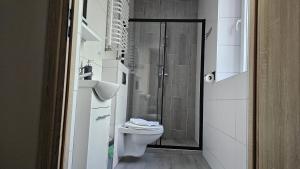 Koupelna v ubytování Noclegi Jodłowa + 8 fotografií