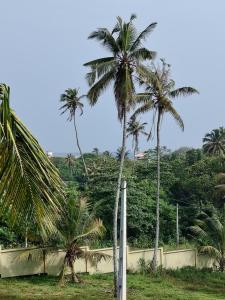 two palm trees in a field next to a fence at Bobbys Villa Mirissa Walk to Mirissa Beach in Mirissa