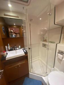 une salle de bain avec douche et lavabo dans l'établissement luxueux bateau à quai, à Sari-Solenzara