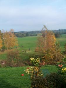 Příroda nedaleko hotelu