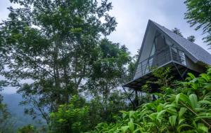 ein Baumhaus mitten im Wald in der Unterkunft Rain Drops Wellness Villa in Mederipitiya