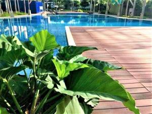 a large green plant next to a swimming pool at City View with Balcony at Kasara Residences C5 Pasig in Manila