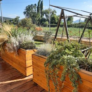 een tuin met drie houten kisten gevuld met planten bij La casa sul lago dorato in Magione +9 foto's