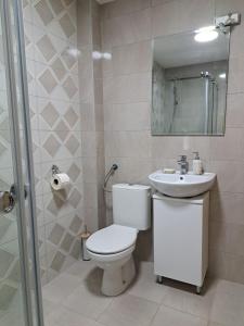 a bathroom with a toilet and a sink and a mirror at Apartman JakšićS&M in Šid