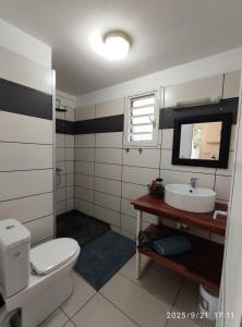 ein Badezimmer mit einer weißen Toilette und einem Waschbecken in der Unterkunft Ô Chalet in Saint-Philippe