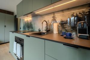 uma cozinha com pia e balcão em Collina Forest Design-Studio by Arosa Vacations em Arosa