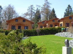 a group of wooden houses in a yard at Harz-Blockhaus, Berg -"Hütte" mit Sauna und Kamin, WH in Hahnenklee-Bockswiese