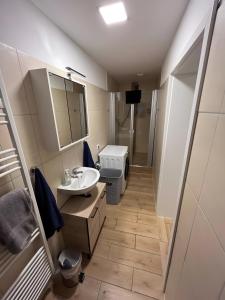 Koupelna v ubytování Zum Waldblick + 36 fotografií