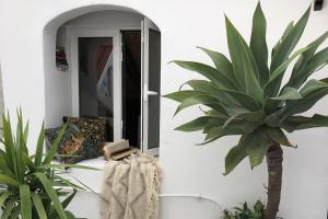 a plant is sitting next to a mirror at Studio Sleeps 2 with Free Parking in Mexilhoeira Grande