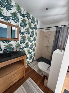 a bathroom with a toilet and a shower at Domaine Ericarclem in Aigrefeuille-dʼAunis