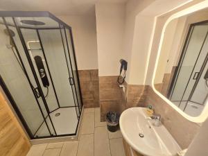 蒂罗尔州霍尔Stylish 1-Bedroom Old Town Retreat的浴室配有淋浴和洗手池 更多3张照片