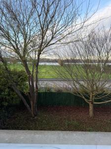 due alberi di fronte a una recinzione e a un campo di Maison vue sur le lac et proche du golf ! a Bourges