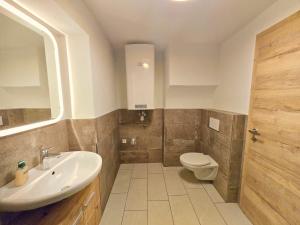 蒂罗尔州霍尔Stylish 1-Bedroom Old Town Retreat的带水槽和马桶的浴室