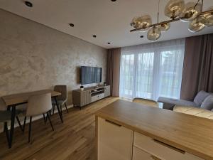 TV a/nebo společenská místnost v ubytování DArt Apartments