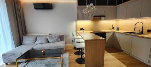 Kuchyň nebo kuchyňský kout v ubytování DArt Apartments + 3 fotografie