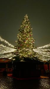 Ferienwohnung Heimathafen في لوبيك: اضاءة شجرة عيد الميلاد