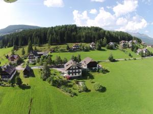 an aerial view of a house in a green field at Haus Pfarrkirchner in Mauterndorf