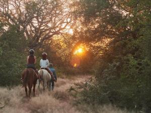zwei Personen reiten auf einem Pfad im Wald in der Unterkunft Zuri Camp - Tent Kiama in Tsumeb
