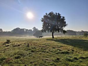 Un paisaje natural cerca del departamento