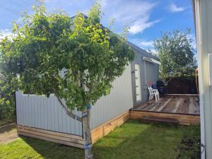 ein winziges Haus mit einem Baum im Hof in der Unterkunft Manuki Tiny Retreat - Private stay Christchurch in Christchurch