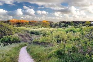 Naturlandskabet i nærheden af feriehuset