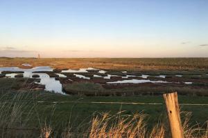 Naturlandskabet i nærheden af feriehuset + 36 billeder