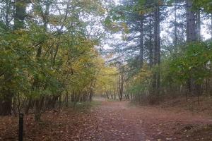 Naturlandskabet i nærheden af feriehuset