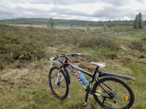 a bike parked in the grass in a field at Log Cabin By Mostertoppen Ski Stadium in Hafjell