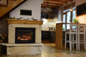 a living room with a fireplace in a kitchen at Domek Sosenka Roztocze Hutki in Krasnobród +26 photos