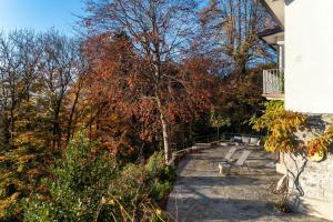 Zahrada ubytování Villa Rocawood - by MyHomeInComo