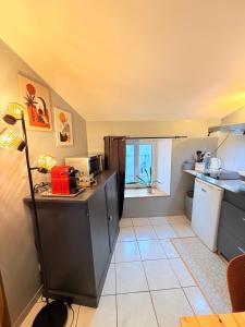 eine kleine Küche mit Theke und Spüle in der Unterkunft Le Palais in La Rochelle