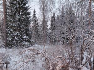 Rovaniemi apartment with private sauna & free parking v zimě