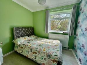 ein Schlafzimmer mit einem Bett in einem grünen Zimmer mit einem Fenster in der Unterkunft Family-Game room-Sleeps 10-Parking-Pets-Bbq in Harlow + 6 Fotos