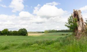 Φυσικό τοπίο κοντά σε αυτό το διαμέρισμα