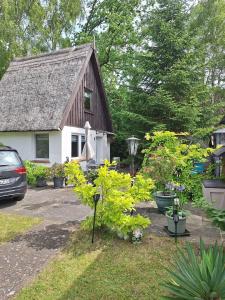 Κήπος έξω από το Reetgedecktes Ferienhaus
