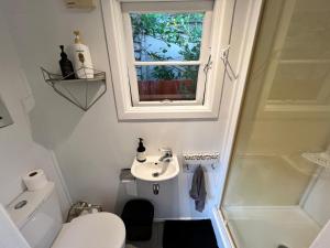 a bathroom with a toilet and a sink and a window at Mount Eden Park in Auckland +37 photos