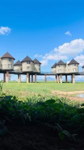 Příroda nedaleko prázdninového domu