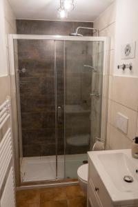 a bathroom with a shower with a toilet and a sink at Ferienwohnung Feuer im Ferienhaus am Waldbach in Kirchzell +13 photos