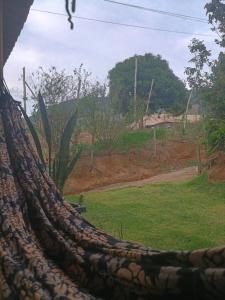 Φυσικό τοπίο κοντά σε αυτό το δωμάτιο σε οικογενειακή κατοικία