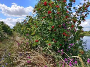 Příroda nedaleko prázdninového domu