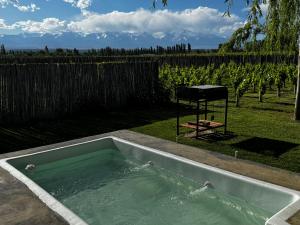 ein Whirlpool mit Grill im Hof in der Unterkunft KooColand-CHE in Tupungato