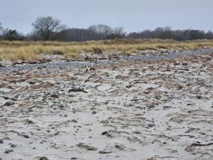 un champ sablonneux avec des rochers et de l'herbe dans l'établissement 8 person holiday home in Stege-By Traum, à Stege