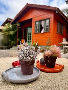 two potted plants on a table in front of a house at Casinha Encantada-Café Cacupé Hospedagem in Florianópolis +51 photos