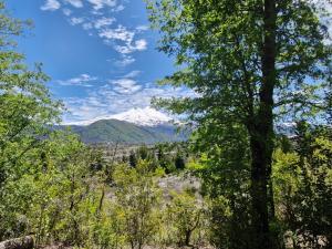 - une vue sur une montagne enneigée à travers les arbres dans l'établissement Refugio Koyamento, à Melipeuco