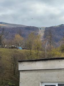 a building with a view of a field and trees at Miri Apartament in Lupeni